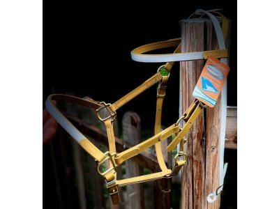 Uzdečka click system